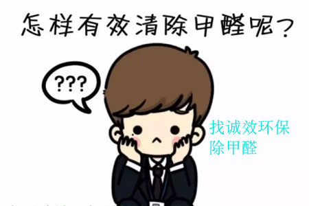 廣州除甲醛公司