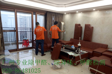 廣州除甲醛公司