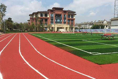 番禺除甲醛公司