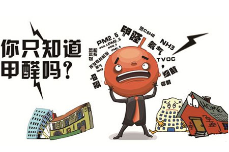 廣州除甲醛公司