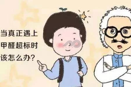 廣州甲醛治理公司