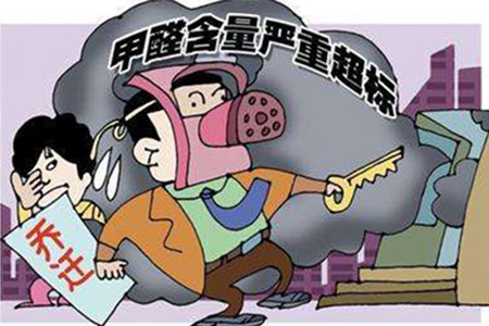 番禺除甲醛公司